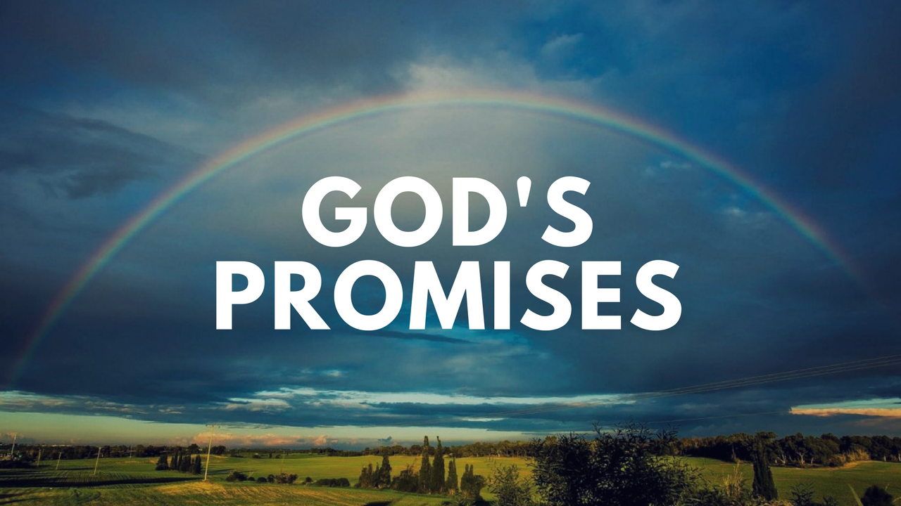 GOD’ S PROMISES